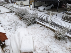 広島からメディカルハーブを用いたガーデンセラピーの庭づくりが始まります！